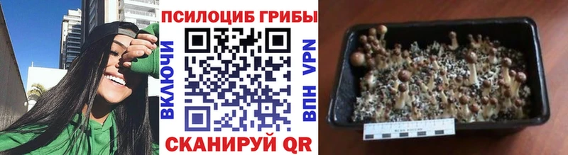 ссылка на мегу зеркало Добрянка Галлюциногенные грибы MAGIC MUSHROOMS