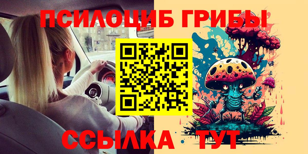 Галлюциногенные грибы Psilocybine cubensis Добрянка